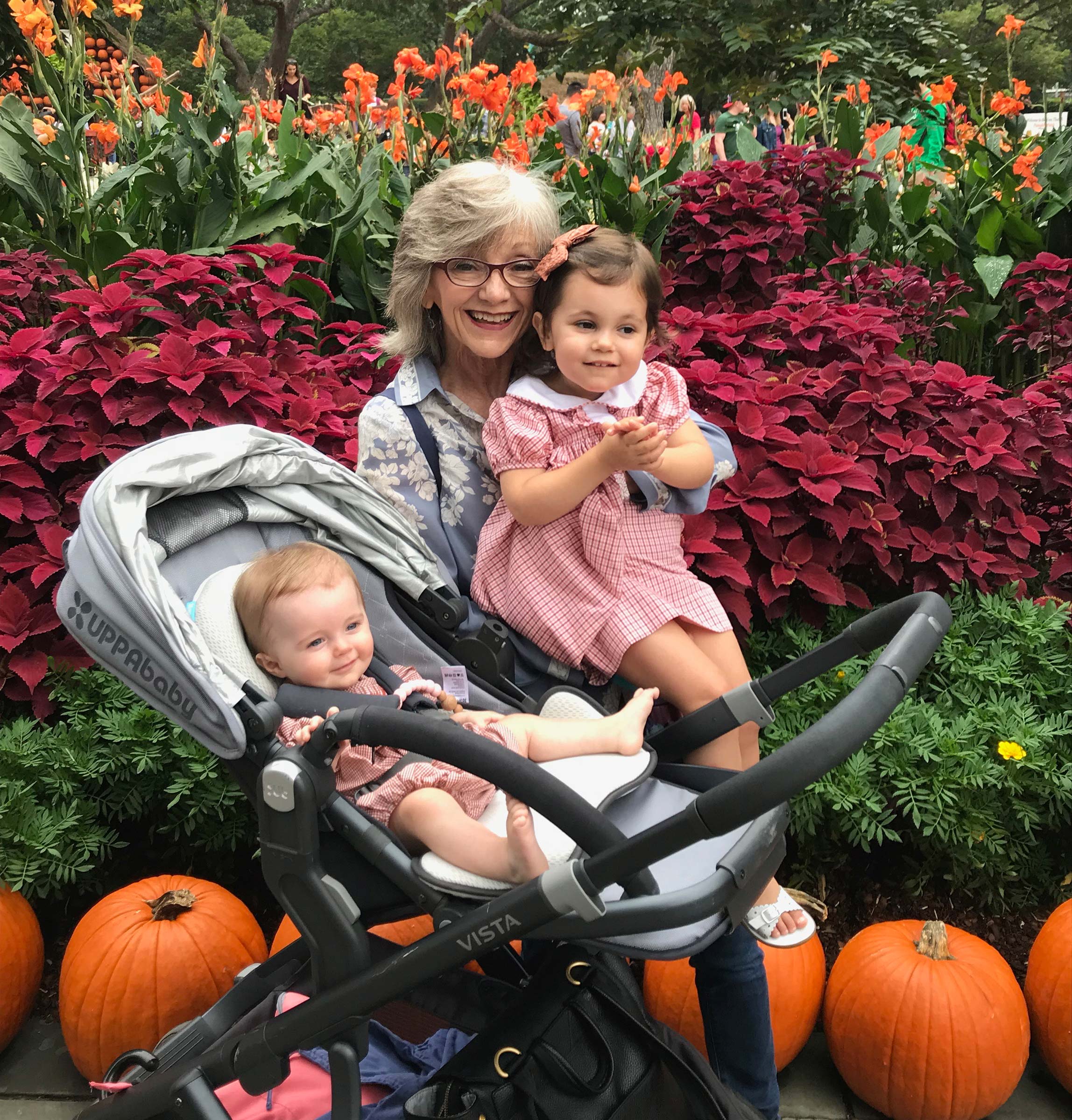 Dr. Susan Briner Dr. Susan Briner